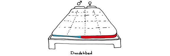 Couple bed cover patent image