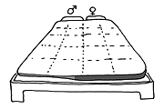 Couple bed cover thumbnail image